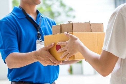 Domestic Courier